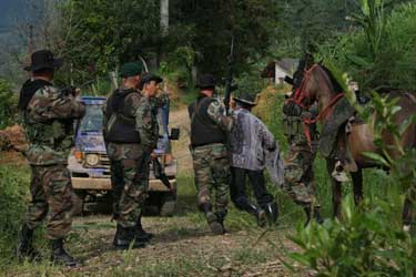 Los colores de la montaña