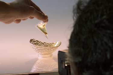 El Bulli: Cooking in progress