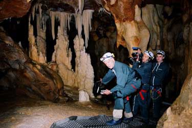 La cueva de los sueños olvidados