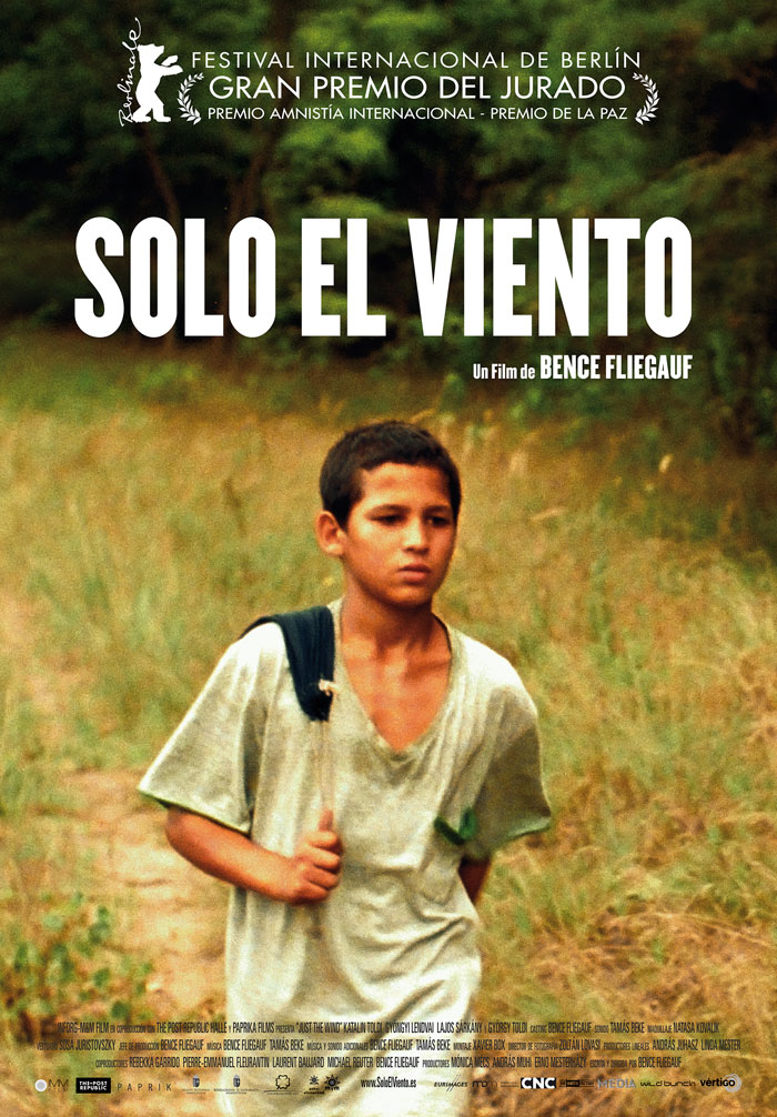Solo el viento - cartel