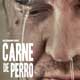 Carne de Perro cartel reducido