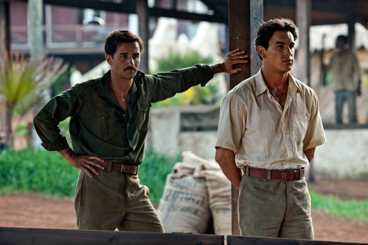 Palmeras en la nieve