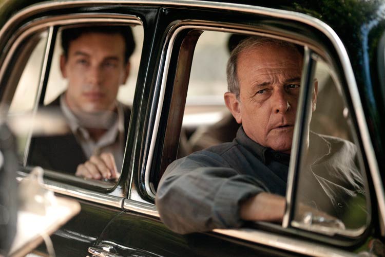 Palmeras en la nieve