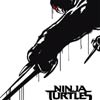 Ninja Turtles cartel reducido Raphael