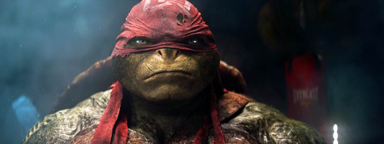 Raph de Ninja Turtles