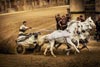 Ben-Hur / 7