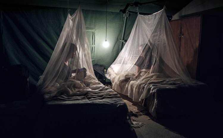 Mil veces buenas noches