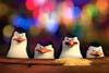 Los pingüinos de Madagascar / 2