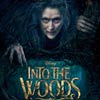 Into the woods cartel reducido