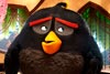 Angry birds, la película / 6