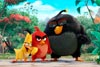 Angry birds, la película / 7