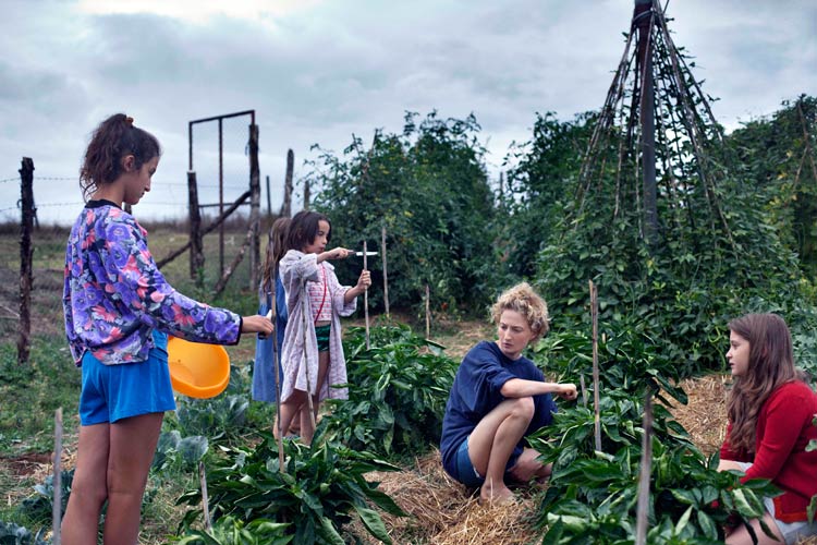 El país de las maravillas