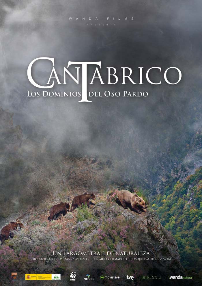 Cantábrico. Los dominios del Oso Pardo - cartel