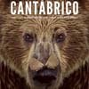 Cantábrico. Los dominios del Oso Pardo cartel reducido