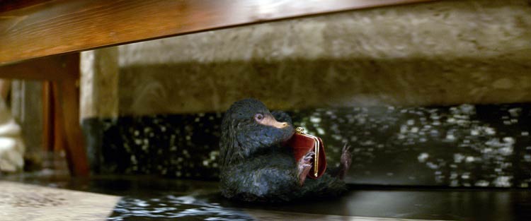 Animales fantásticos y dónde encontrarlos