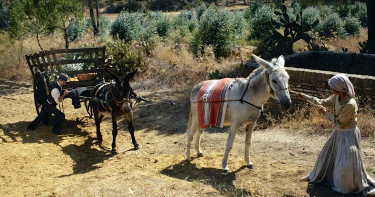 La luz con el tiempo dentro 