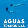 Aguas tranquilas cartel reducido