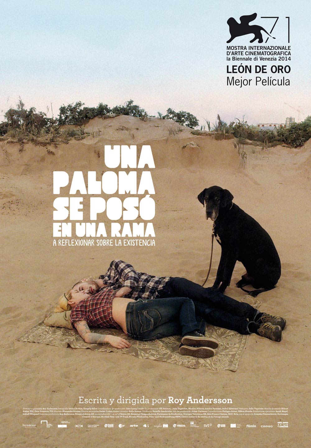 Una paloma se posó en una rama a reflexionar sobre la existencia - cartel