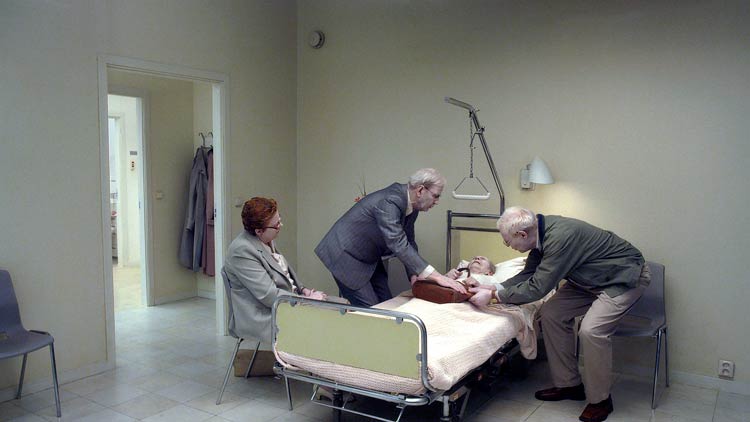 Una paloma se posó en una rama a reflexionar sobre la existencia