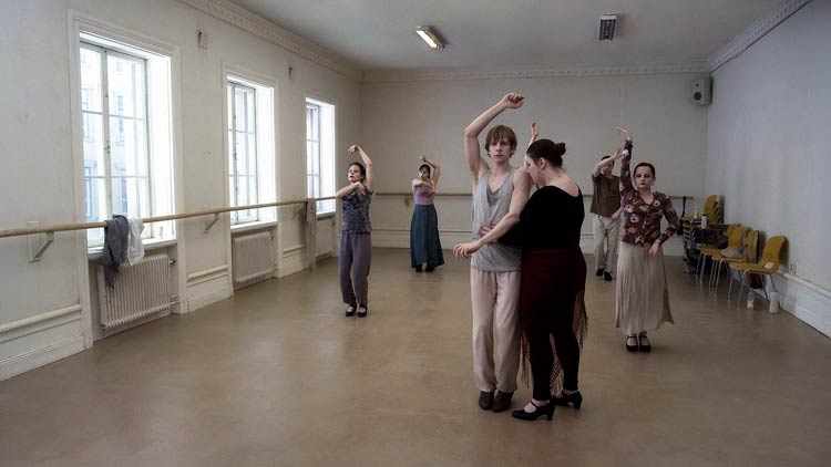 Una paloma se posó en una rama a reflexionar sobre la existencia