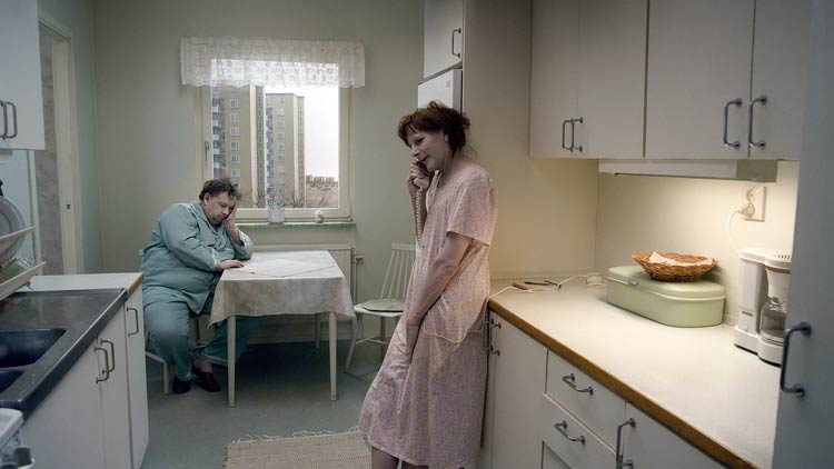 Una paloma se posó en una rama a reflexionar sobre la existencia