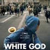 White God cartel reducido