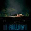 It follows cartel reducido