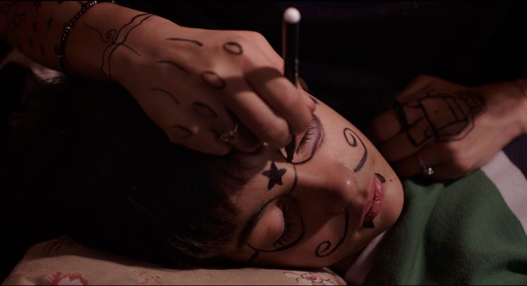 Los insólitos peces gato