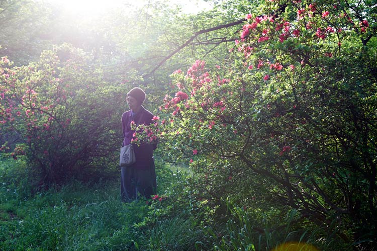 Una pastelería en Tokio