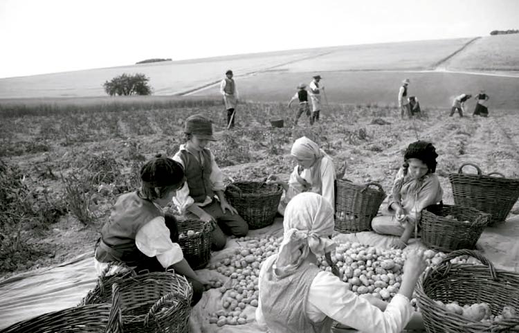 Heimat, la otra tierra