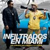 Infiltrados en Miami cartel reducido