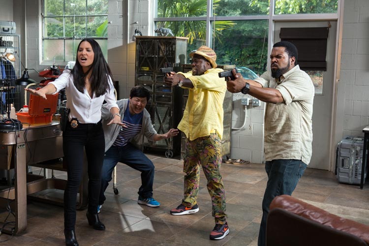 Infiltrados en Miami