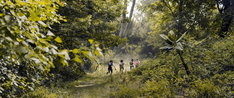 Zipi y Zape y la isla del capitán