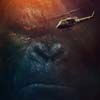 Kong: La isla calavera cartel reducido
