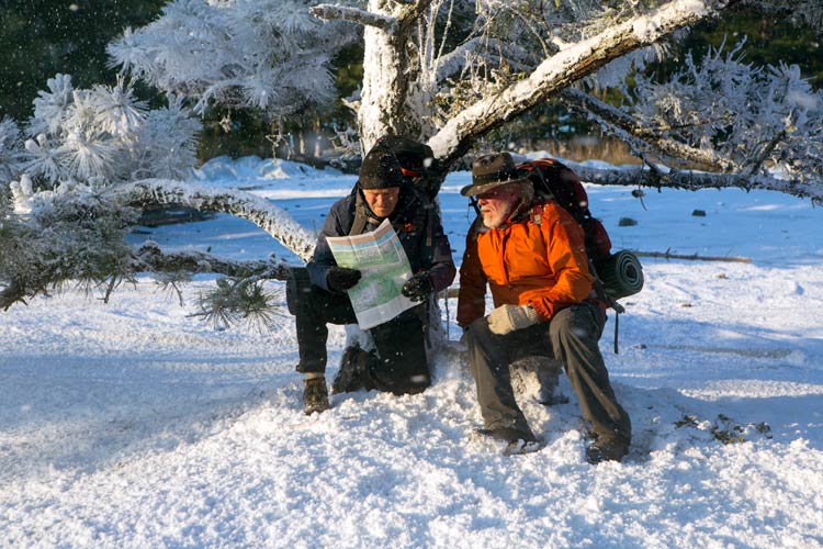 Un paseo por el bosque