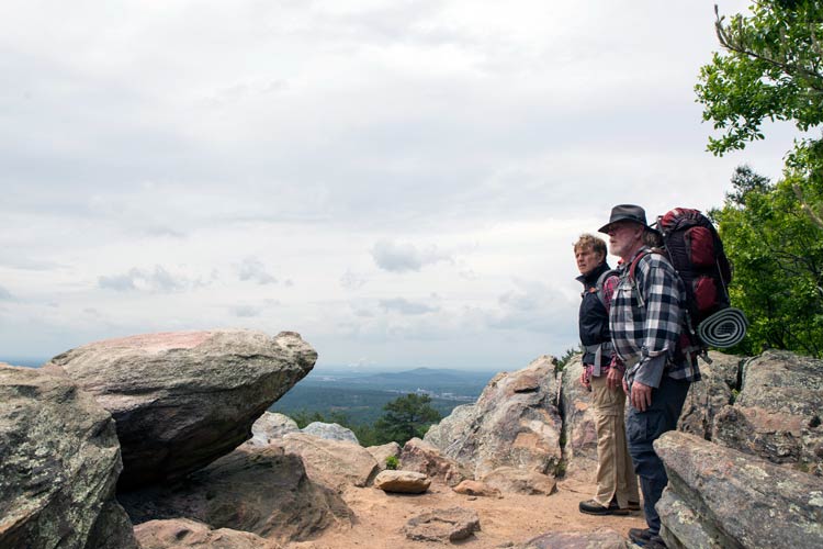Un paseo por el bosque