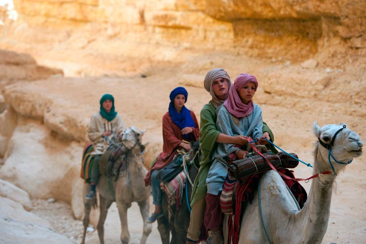 Los cinco y el secreto de la pirámide