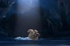 Ice Age: El gran cataclismo / 6