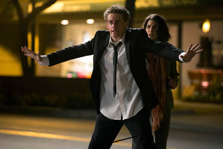 El asesinato de un gato