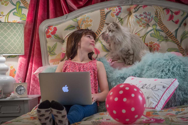 Siete vidas, este gato es un peligro