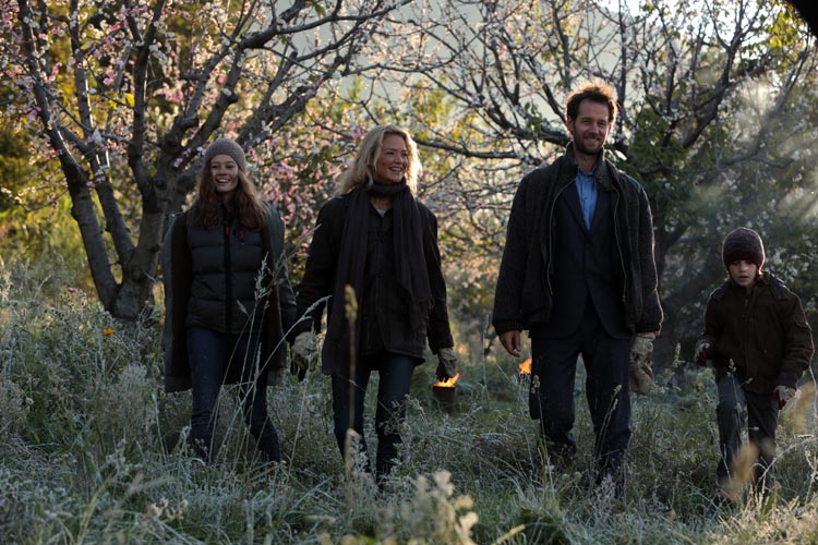 Pastel de pera con lavanda