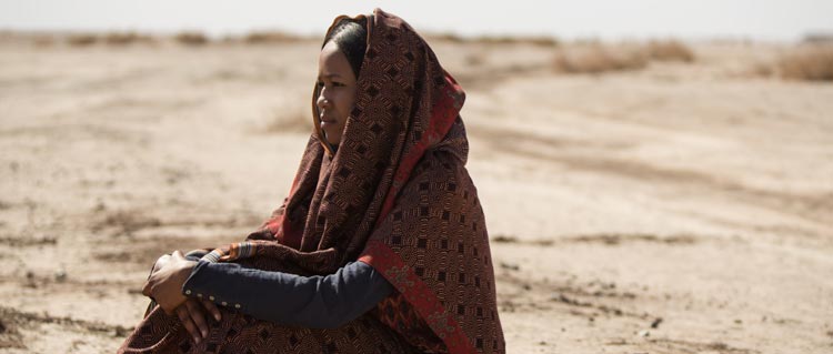 Los caballeros blancos