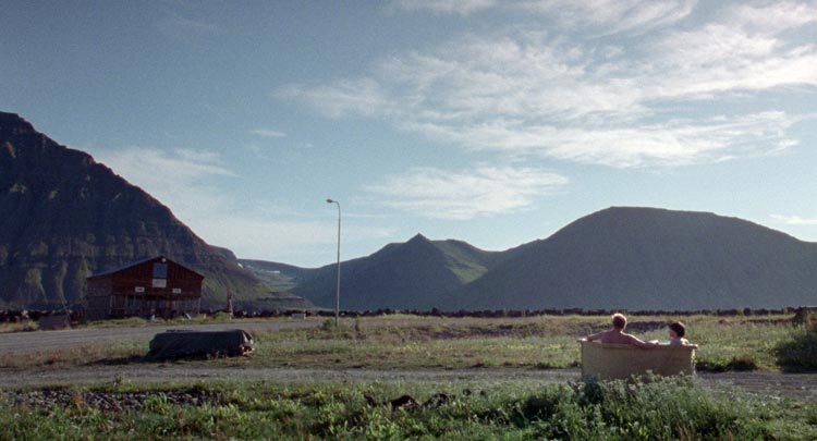 Sparrows (Gorriones)