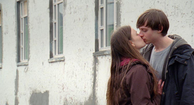 Sparrows (Gorriones)