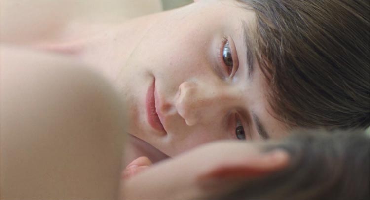 Sparrows (Gorriones)