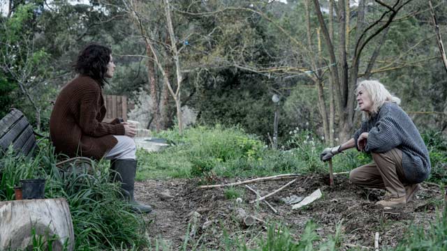 La enfermedad del domingo