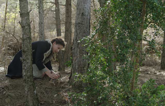 Bajo la piel de lobo