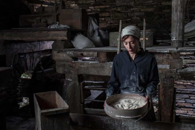 Bajo la piel de lobo