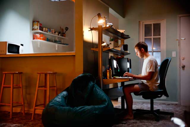 Animal de compañía