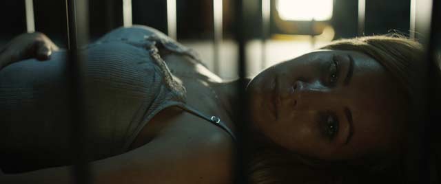 Animal de compañía